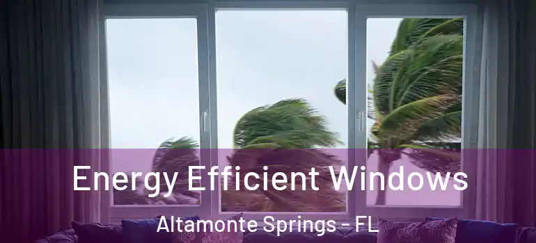  Energy Efficient Windows Altamonte Springs - FL