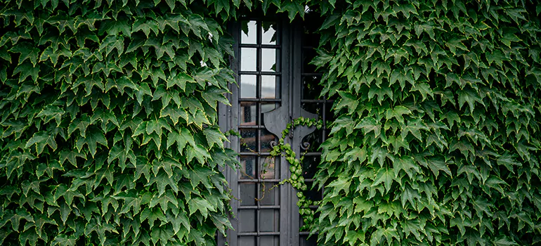 Garden Gate Repair in Altamonte Springs, FL