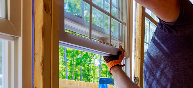 Decorative Window Film Services in Altamonte Springs, FL