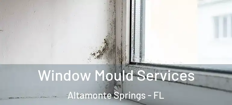  Window Mould Services Altamonte Springs - FL